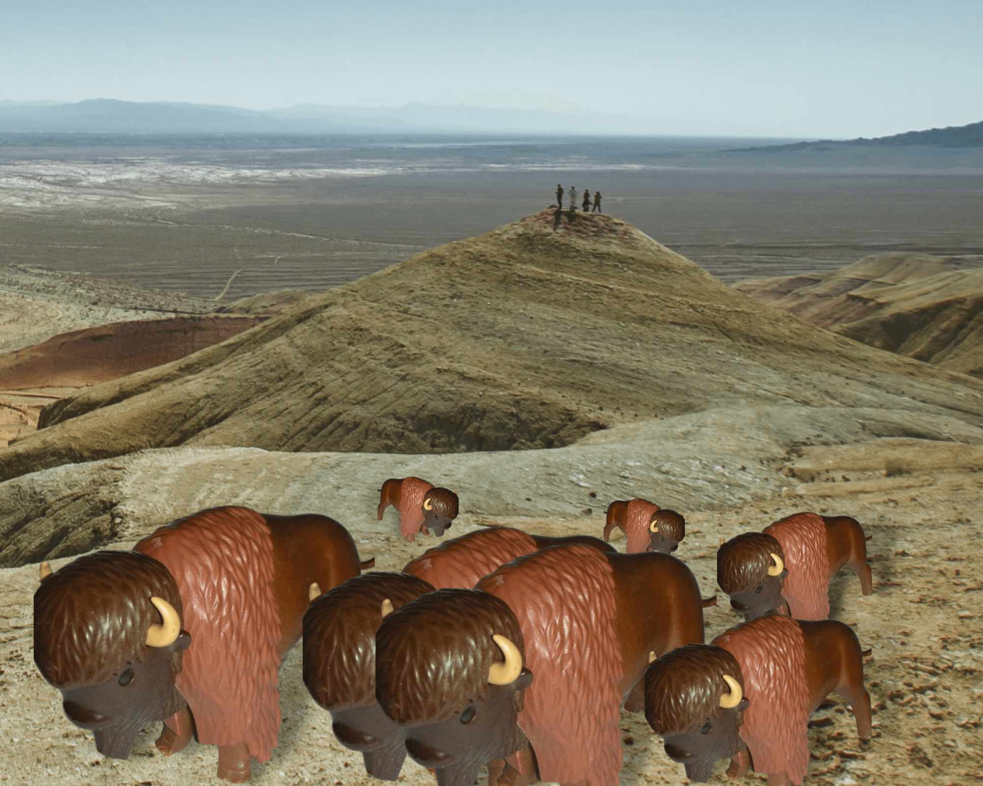 Lire la suite à propos de l’article Démonter un bison Playmobil ®